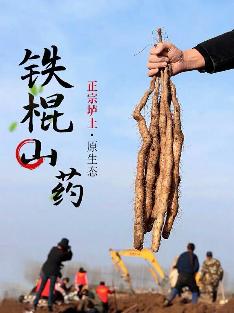 温县正宗铁棍山药红皮锈斑棒山药50-80长支持各种包装