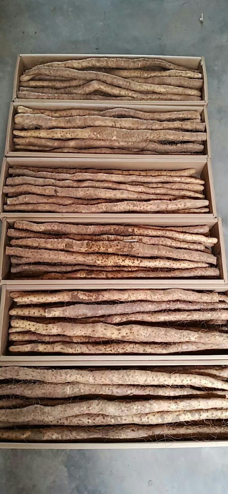 温县正宗铁棍山药红皮锈斑棒山药50-80长支持各种包装