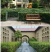 法国冬青种子红果冬青北美冬青小叶冬青种子龟甲冬青