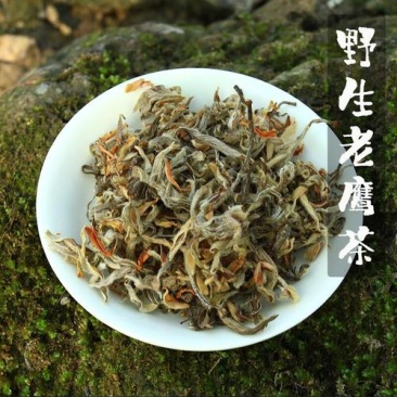 重庆市武隆区浩口乡贫困村野生老鹰茶，