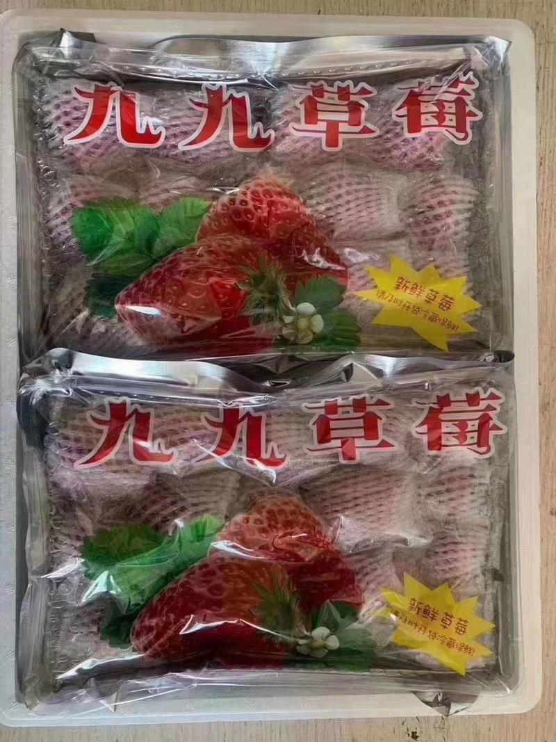 丹东出棚的草莓现场打包中