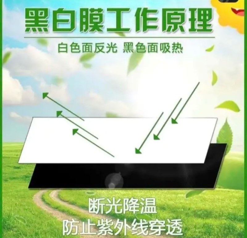 全新料进口大棚膜聚乙烯抗老化耐用无滴膜黑白膜养殖膜