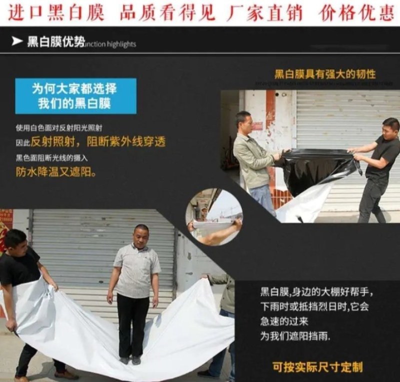 全新料进口大棚膜聚乙烯抗老化耐用无滴膜黑白膜养殖膜