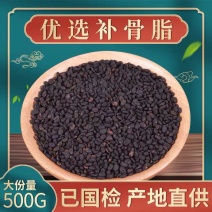 中药材补骨脂胡韭子野生新货破故纸黑故子500g