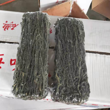 海带丝干海带丝海带净重6斤烘干海带丝干货