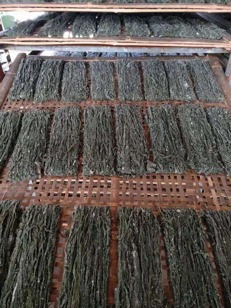 海带丝干海带丝海带净重6斤烘干海带丝干货