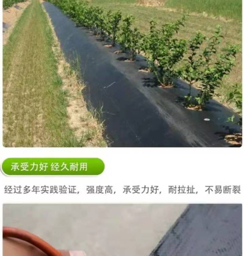 全新料PE抗老化抗暴晒除草布大小尺寸都有