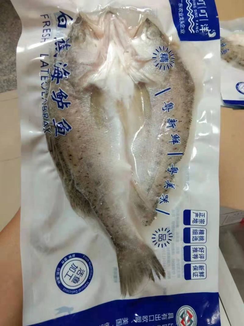 真空包装海鲈鱼好品质，全国各地都可以发货