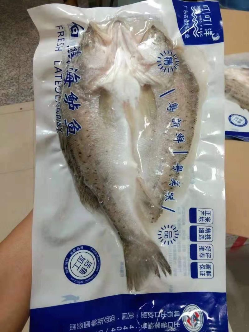 真空包装海鲈鱼好品质，全国各地都可以发货