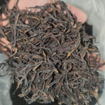凤凰单枞茶二春蜜兰香春尾腊味好茶容好茶水浓香