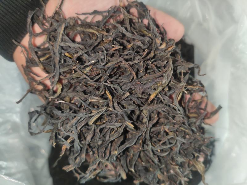 凤凰单枞茶二春蜜兰香春尾腊味好茶容好茶水浓香
