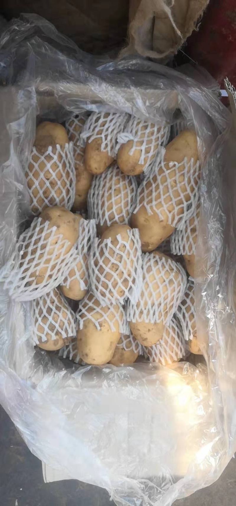 土豆库存平度土豆滕州土豆出库价格便宜保质量