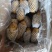 土豆库存平度土豆滕州土豆出库价格便宜保质量