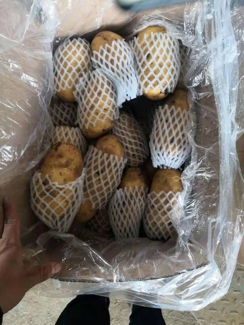 土豆库存平度土豆滕州土豆出库价格便宜保质量