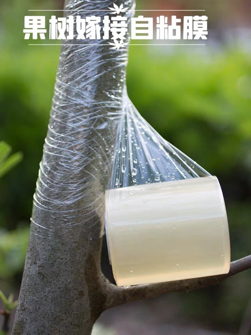 嫁接膜防渗水不透水自粘型嫁接成活率高量大从优