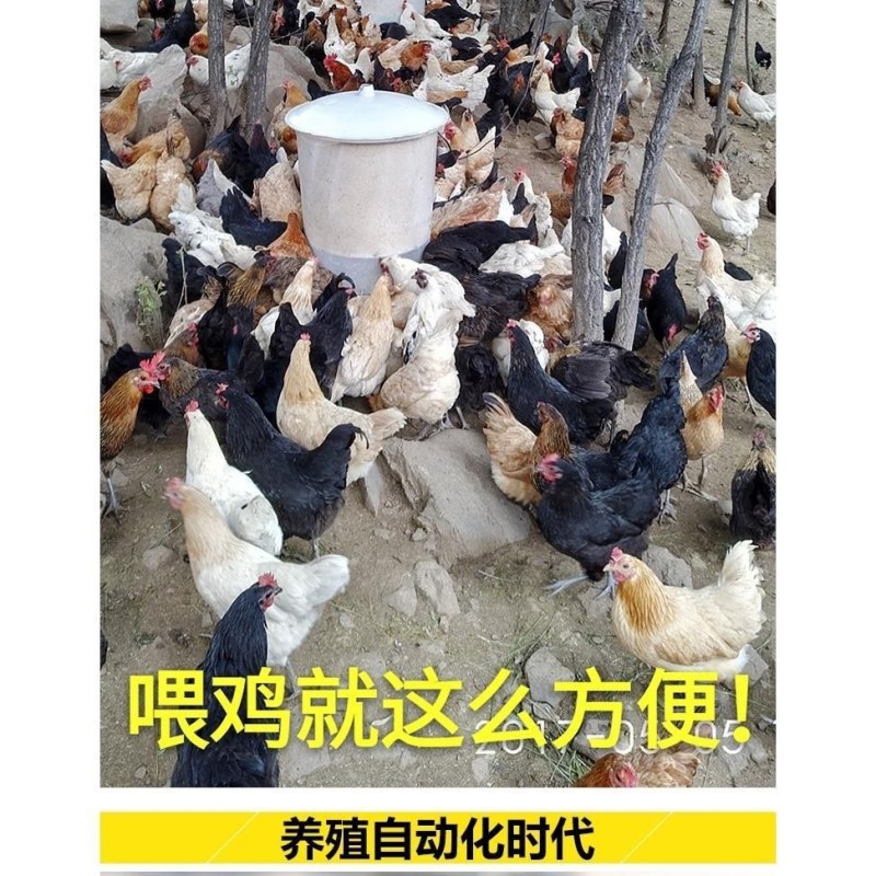 （包邮）2020新一代鸡鸭鹅家禽鸽子全自动投料机喂食器