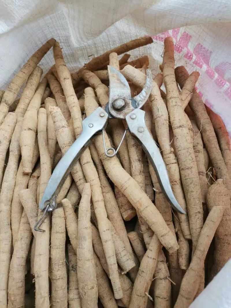 中大叶牛大力，各规格鲜货