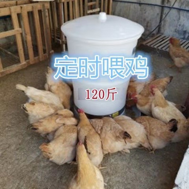 （包邮）2020新一代鸡鸭鹅家禽鸽子全自动投料机喂食器