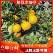 【热销】湖南冰糖橙橙子一件基地直供诚信卖货欢迎致