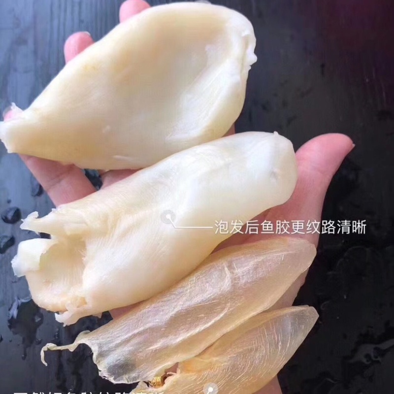 新品花胶鱼胶干货补品