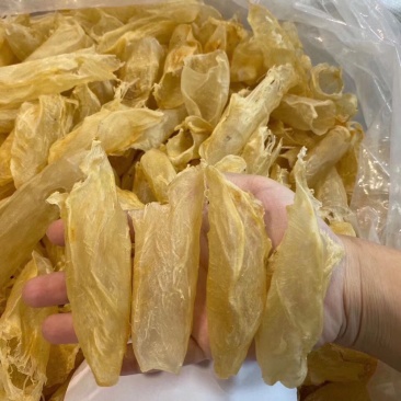 新品花胶鱼胶干货补品