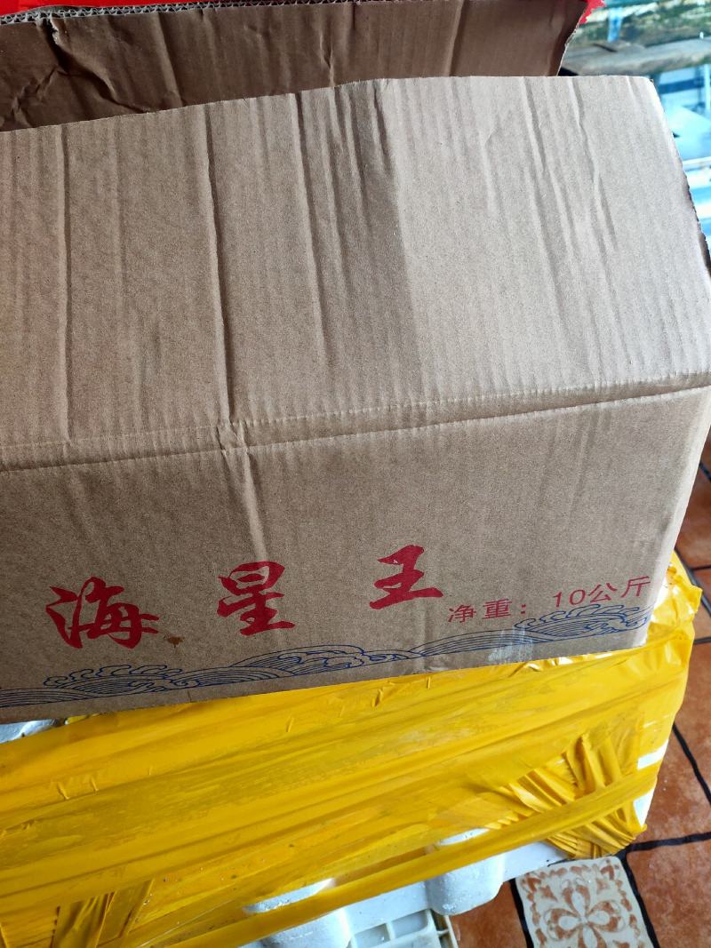 海星五角大海星可做药材煲汤即食满黄海星批发小孩老人爱吃