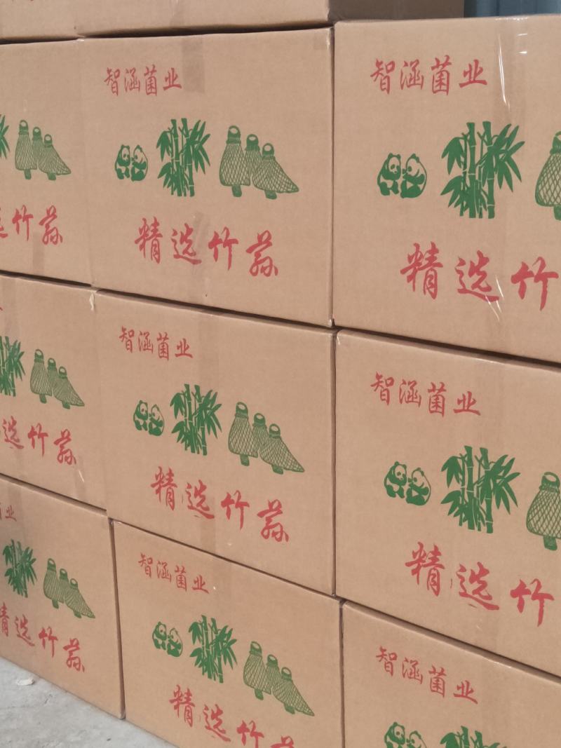 福建古竹荪今年新货半斤特惠装品质保证