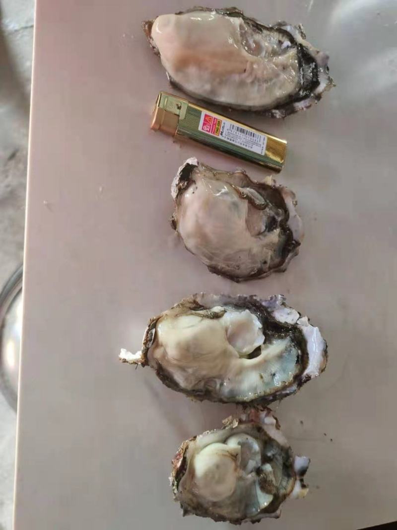 1.5-4统货泥货肥度8成5.7发