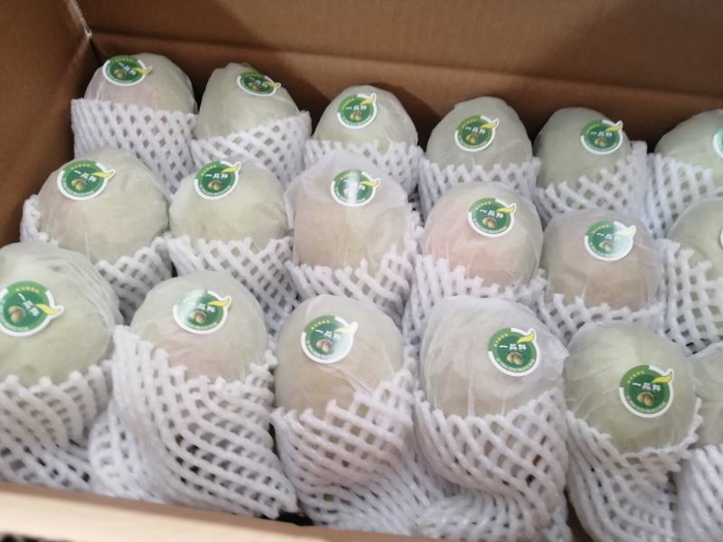 新疆库尔勒香梨,新鲜采摘，脆甜薄皮，货源充足
