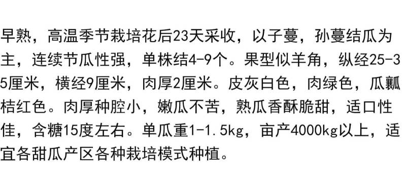 羊角蜜甜瓜种子羊角脆甜瓜种籽山东羊角酥种孑羊角蜜甜种子