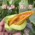 羊角蜜甜瓜种子羊角脆甜瓜种籽山东羊角酥种孑羊角蜜甜种子