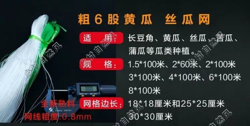 9股植物爬藤网山药豆角丝瓜吊瓜苦瓜黄瓜百香果专用种植物攀