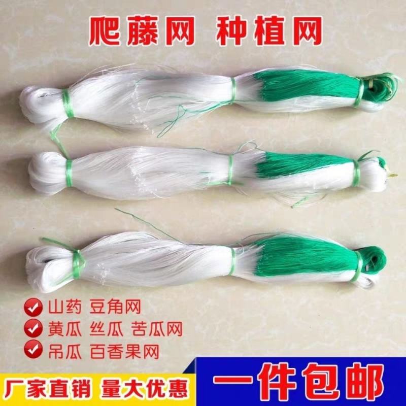 9股植物爬藤网山药豆角丝瓜吊瓜苦瓜黄瓜百香果专用种植物攀