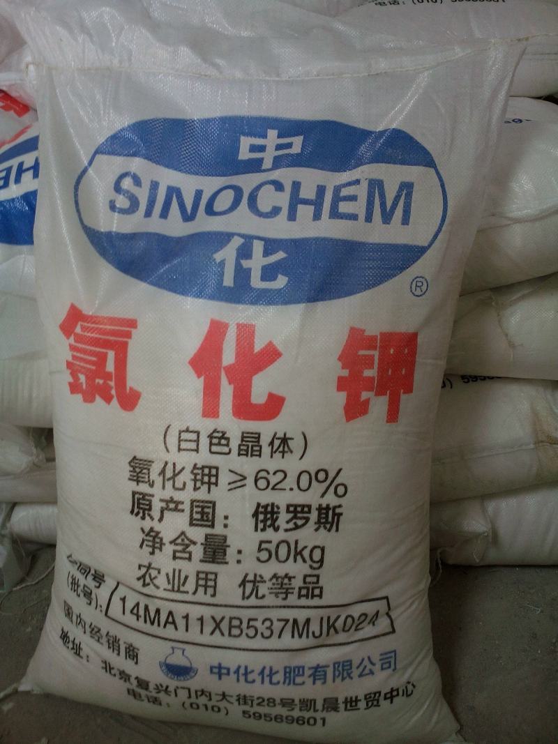现货批发氯化钾农业级俄罗斯晶体钾肥养殖用氯化钾
