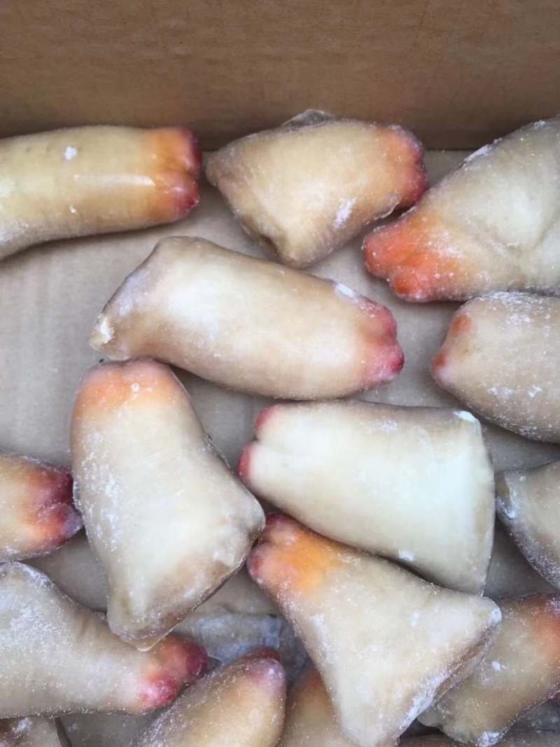 刺身级象拔蚌鼻鲜货冷冻象拔蚌蚌鼻鲜冻去壳象牙蚌象拔蚌头