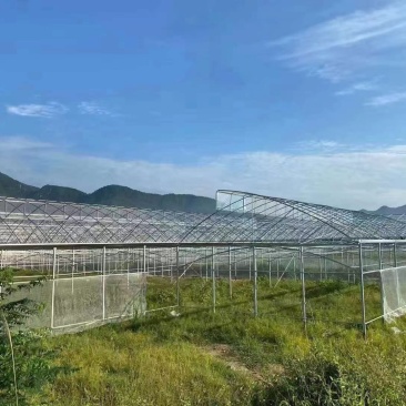 大棚骨架及配件