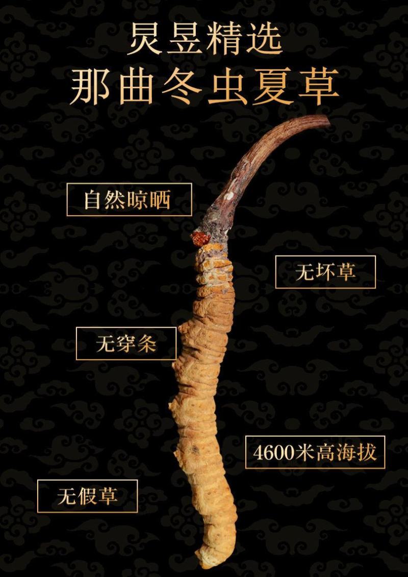 虫草、西藏那曲精选头期3根1克新干虫草正宗野生假一赔十。