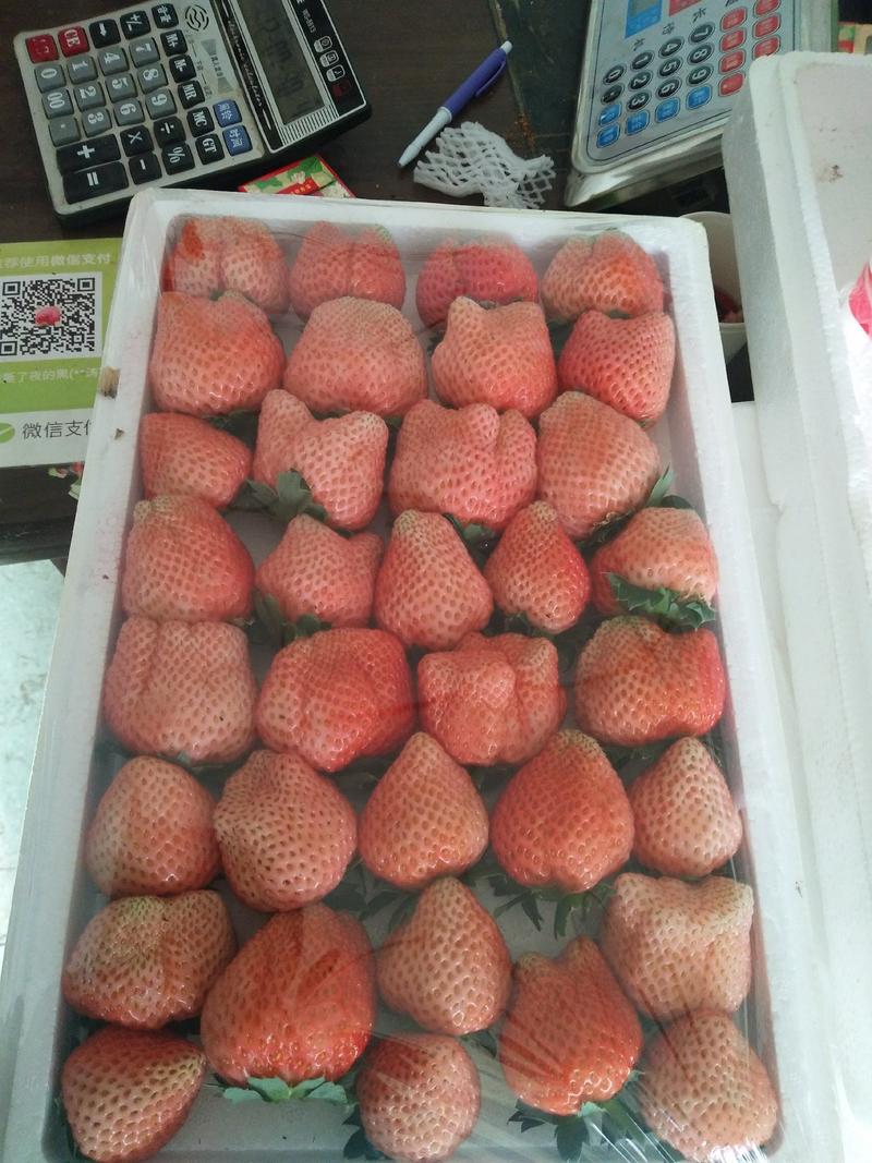 草莓。桃熏。天仙醉。甜查理