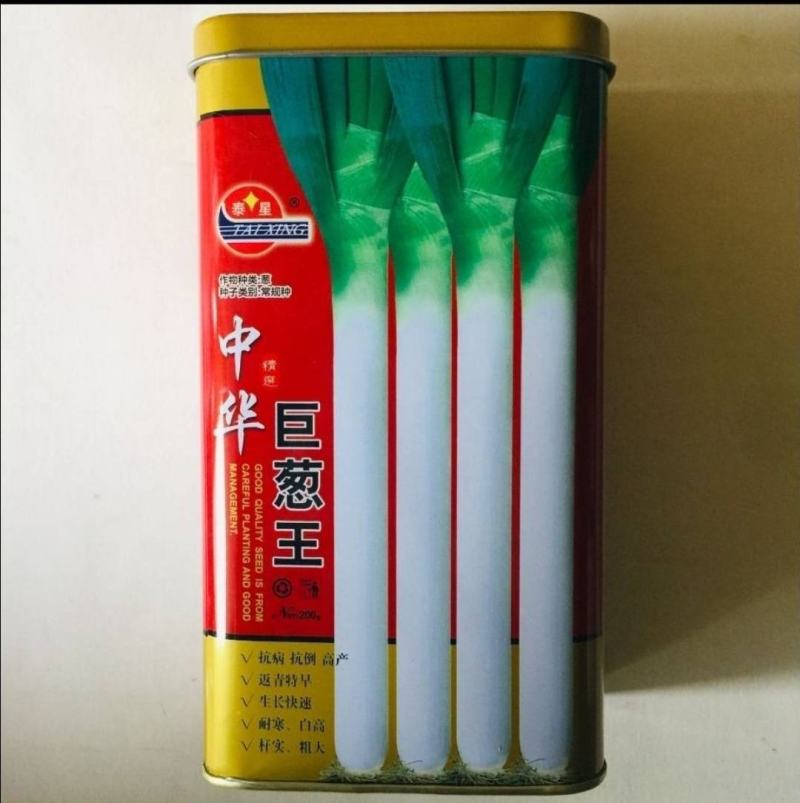 金冠90白大葱种子速生返青早白高杆实抗倒抗病抗寒产量高