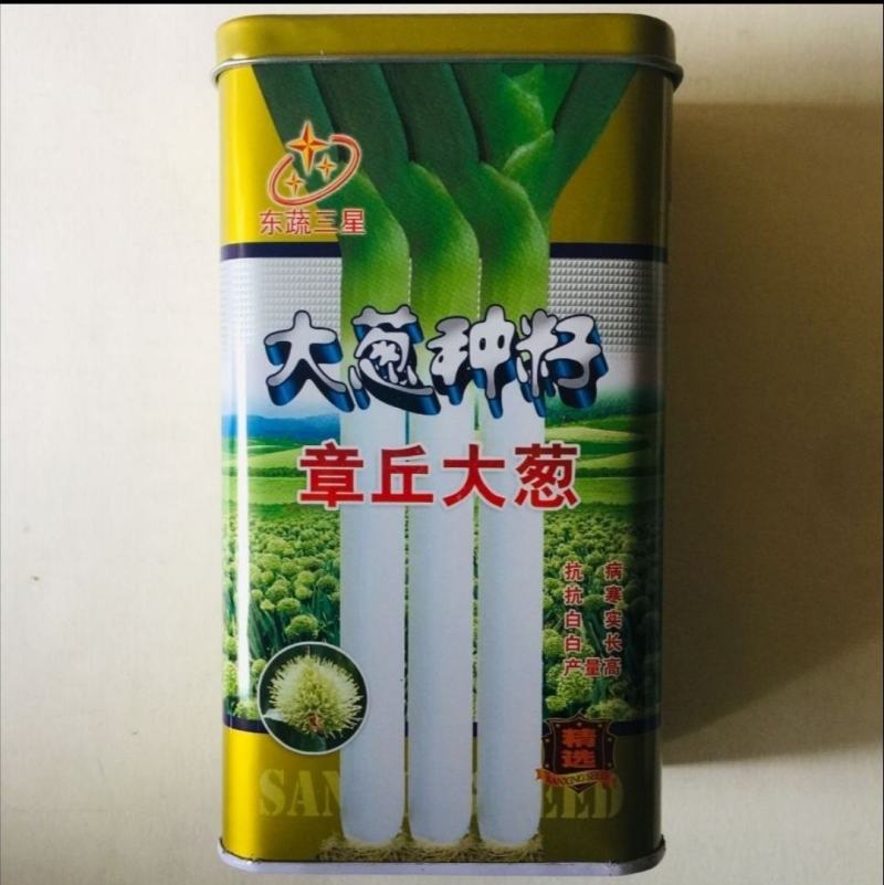 章丘大葱种子生长快抗寒抗热抗倒伏抗病虫抗病能力强