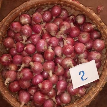 缅甸小洋葱，源头发货，量大从优。