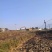 2024年底四川凉山德昌新鲜带泥荸荠马蹄产地直供批发