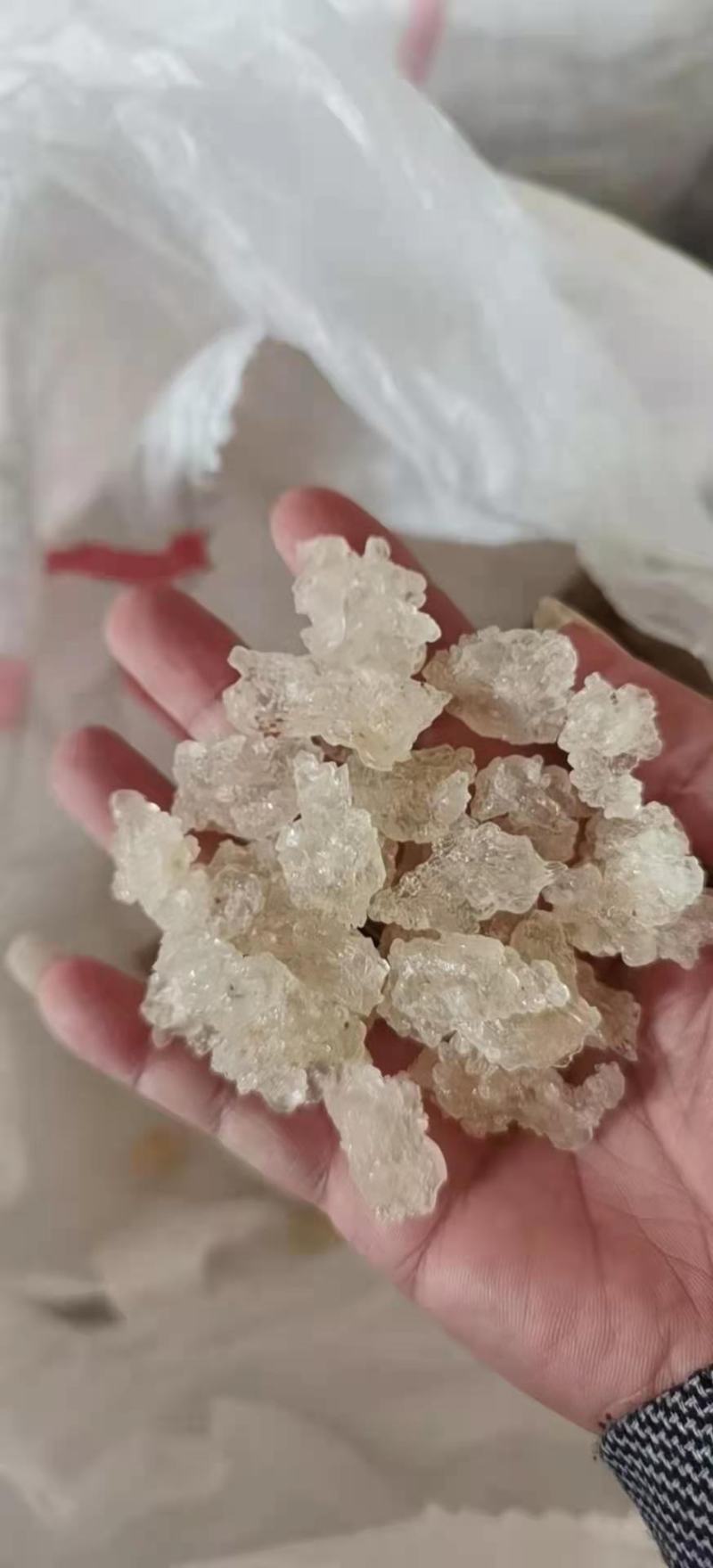 雪燕，缅甸进口，一手货源