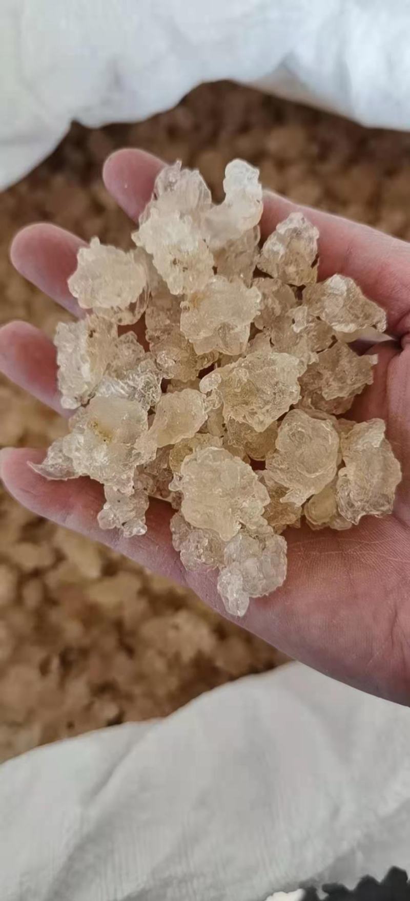 雪燕，缅甸进口，一手货源