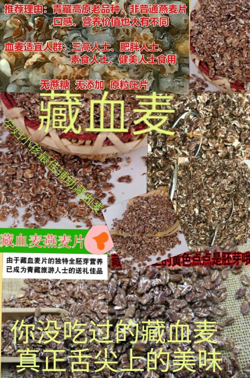 藏血麦片青藏高原特产藏血麦片粗粮血麦5斤包邮