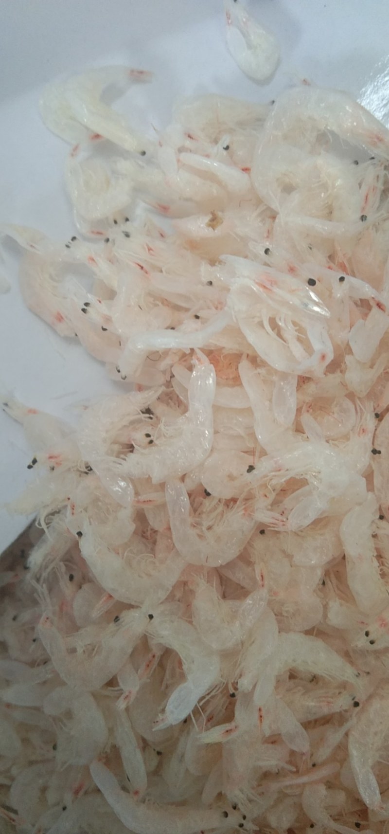 淡干无盐虾皮！个头均匀！颜色漂亮！口感鲜甜！不短头头个大