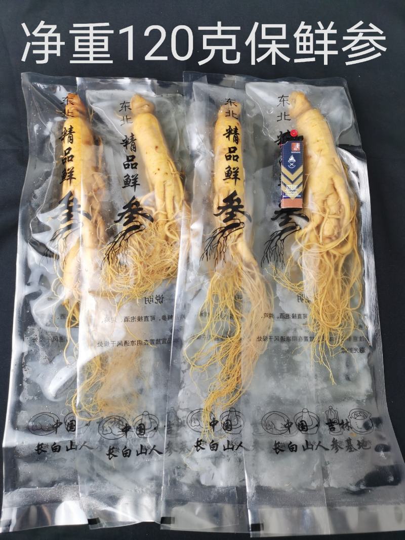 人参长白山保鲜参泡酒煲汤炖鸡专用一手货源涉农直销