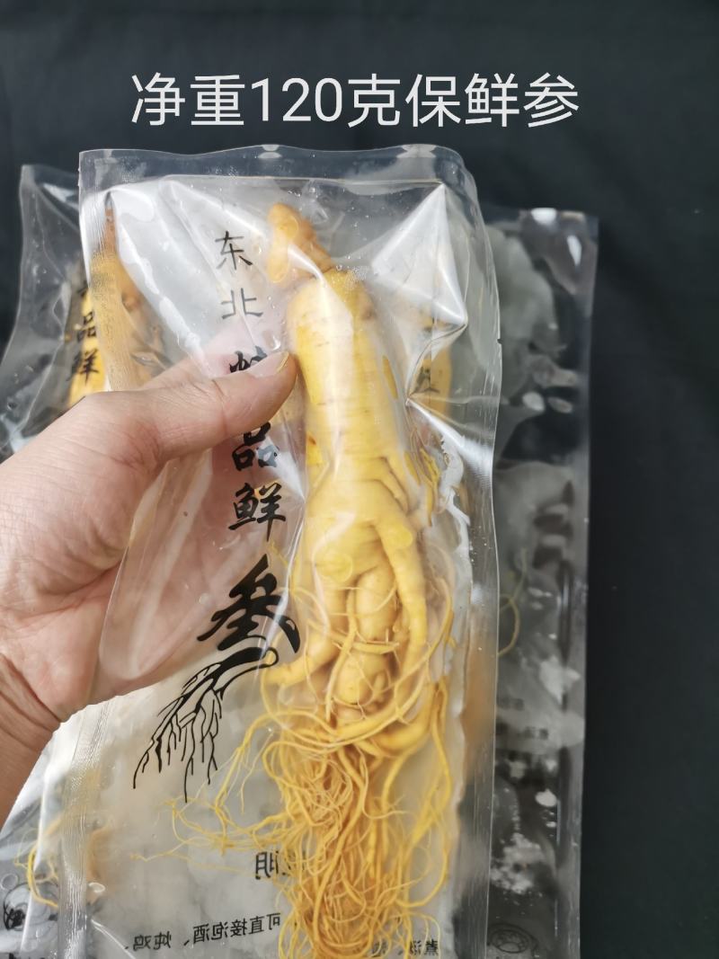 人参长白山保鲜参泡酒煲汤炖鸡专用一手货源涉农直销
