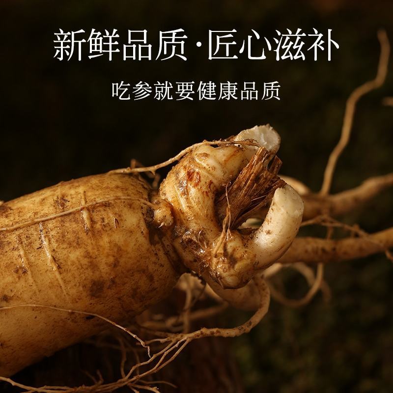 人参长白山保鲜参泡酒煲汤炖鸡专用一手货源涉农直销