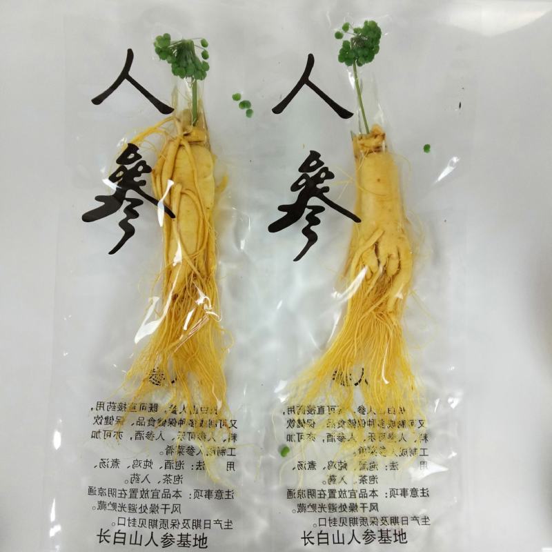 人参长白山保鲜参泡酒煲汤炖鸡专用一手货源涉农直销